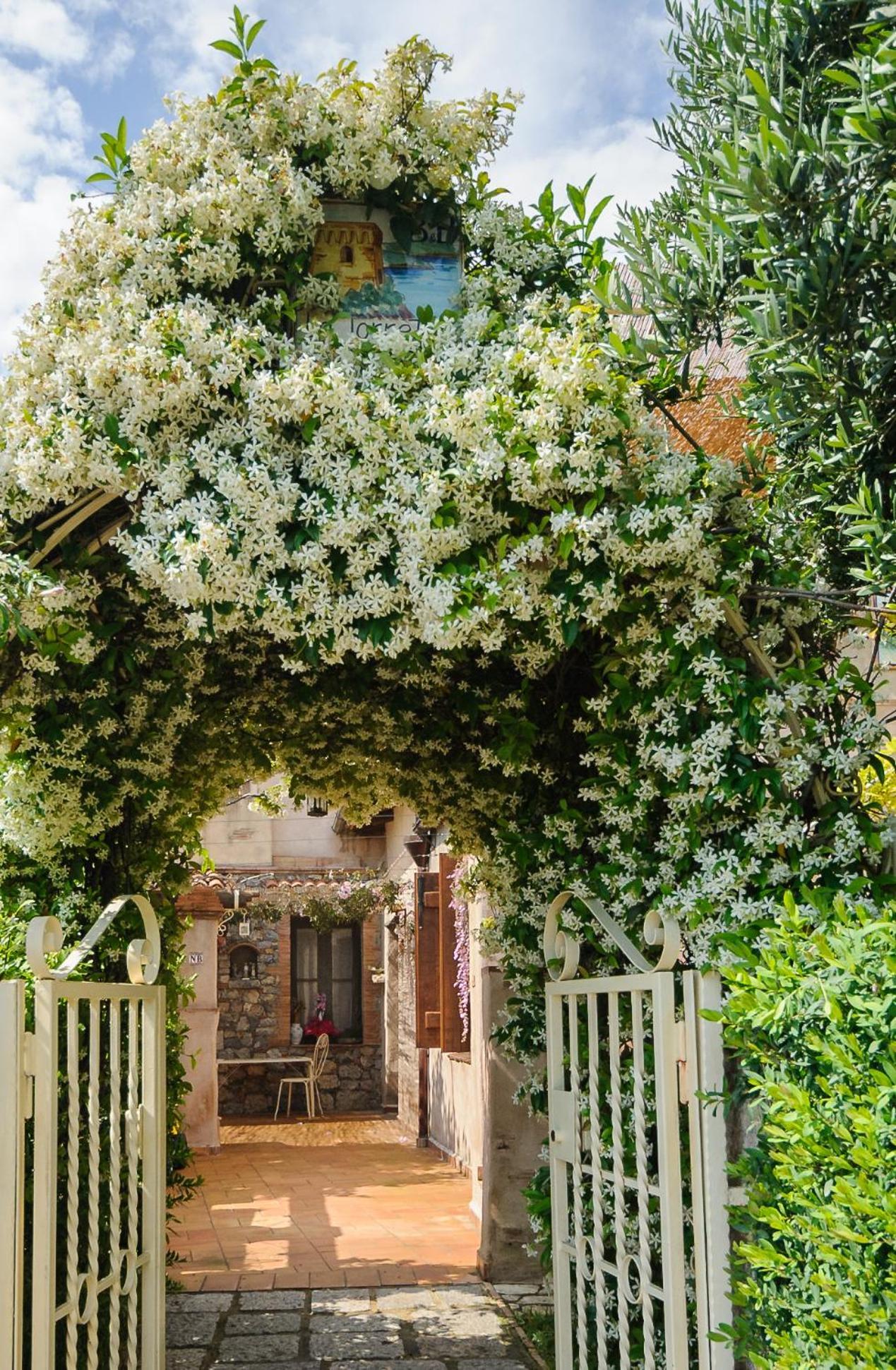 B&B La Torretta Maratea Eksteriør billede