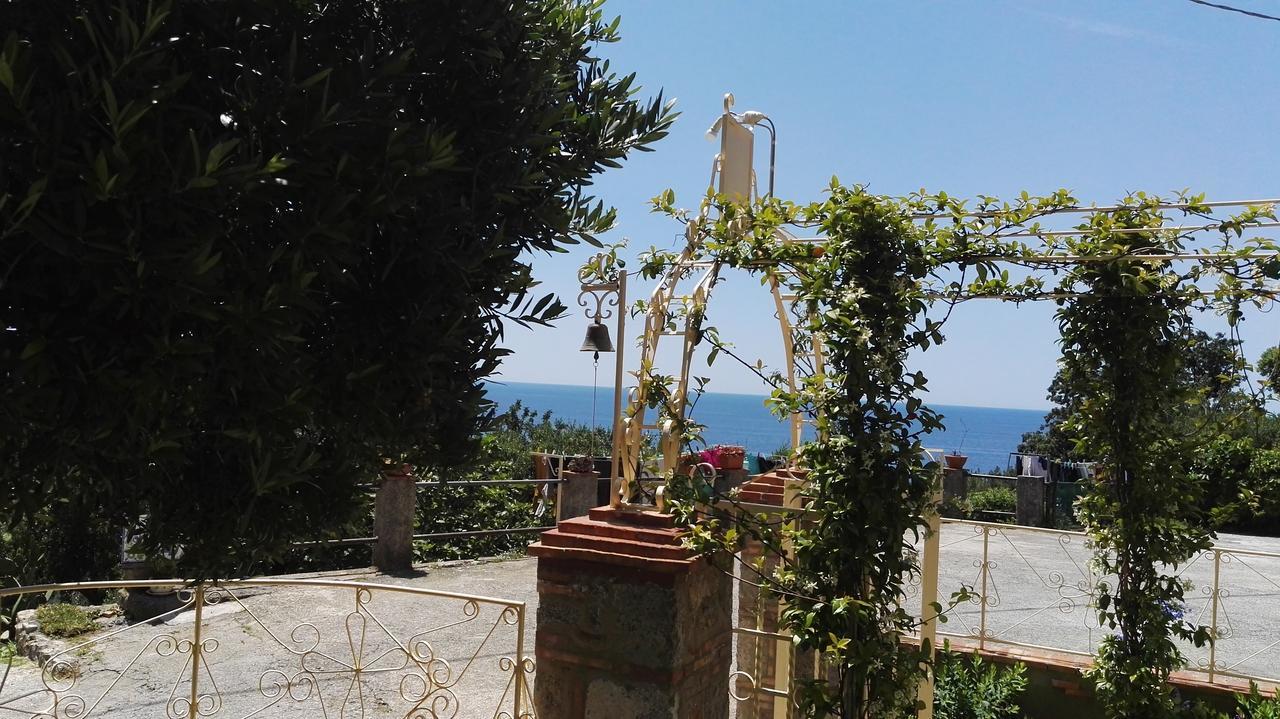 B&B La Torretta Maratea Eksteriør billede